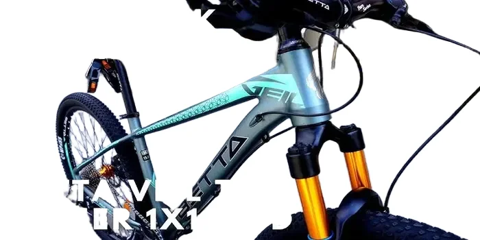 Betta Veil Tail 29 (Air) 