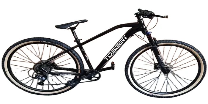 Toseek Brandon 1.0 29 1x9  